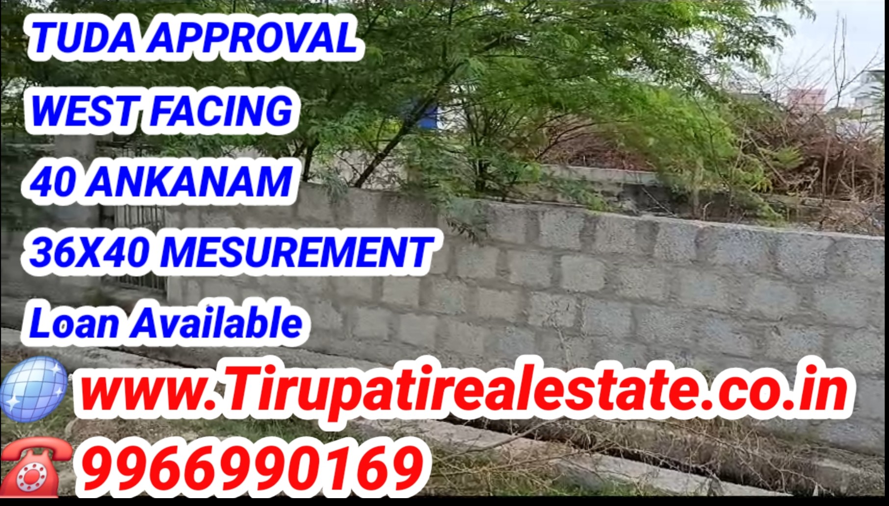 Additional Listing Image