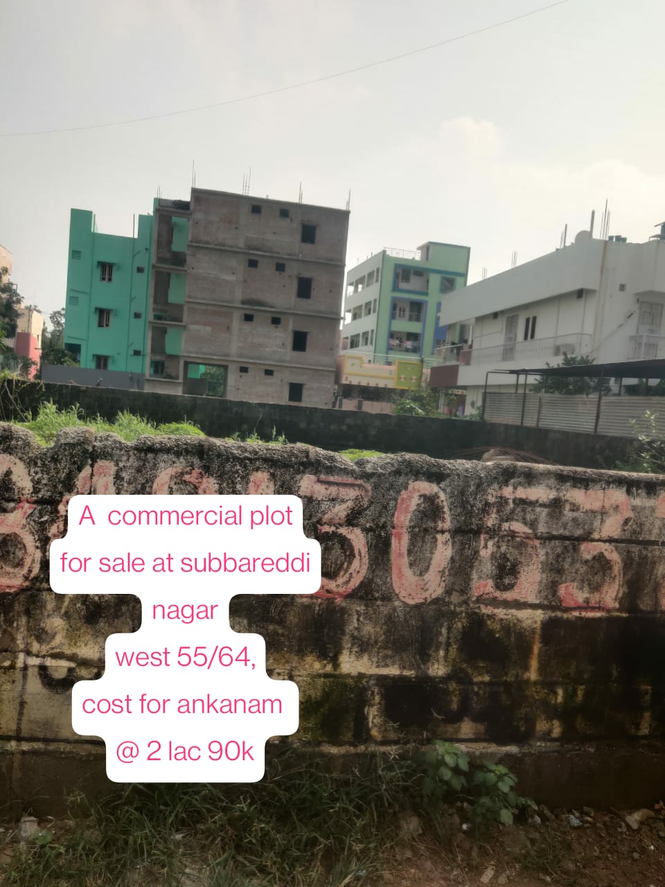 Additional Listing Image